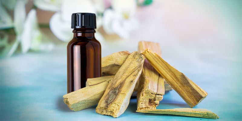 Che Legno è Il Palo Santo Come E Perché Usare Il Legno Di Palo Santo - Zamnesia